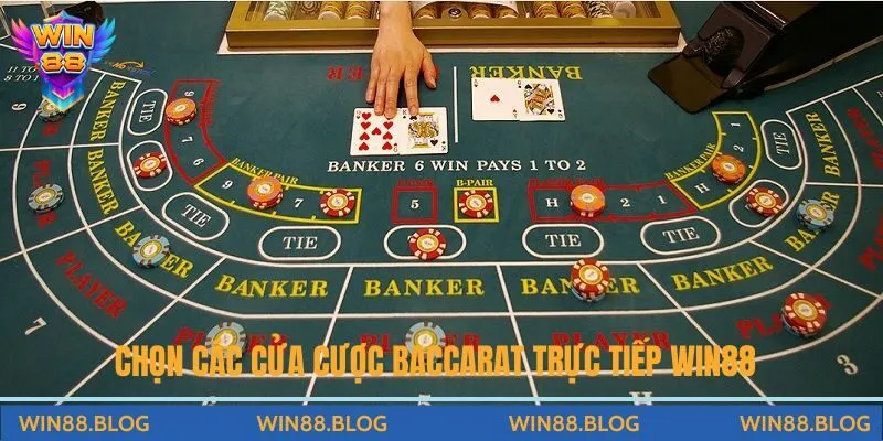 Chọn các cửa cược khi chơi Baccarat trực tiếp Win88
